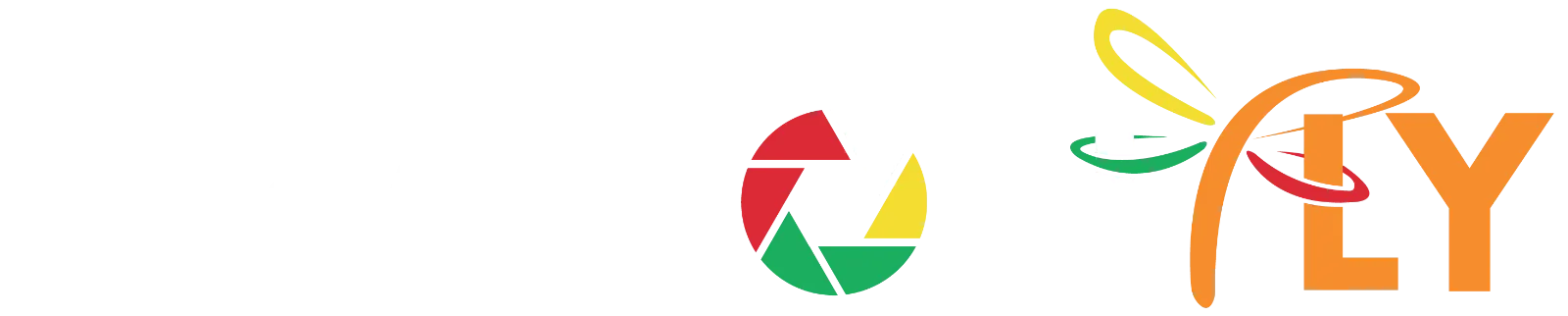 Dragonfly Logo