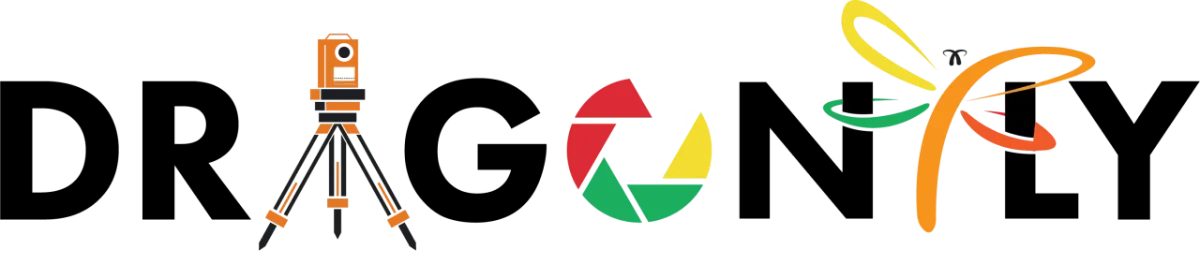 Dragonfly Logo